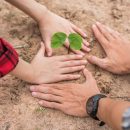 men-women-help-grow-trees